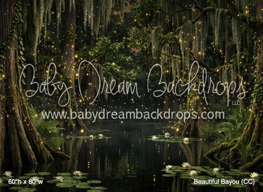 Beautiful Bayou (CC)