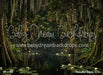 Beautiful Bayou (CC)
