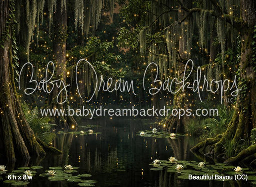 Beautiful Bayou (CC)
