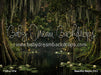 Beautiful Bayou (CC)