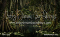 Beautiful Bayou (CC)