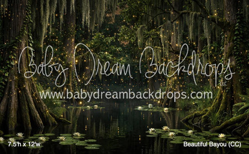 Beautiful Bayou (CC)