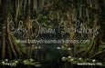 Beautiful Bayou (CC)
