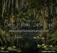 Beautiful Bayou (CC)