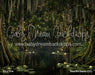 Beautiful Bayou (CC)
