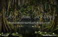 Beautiful Bayou (CC)