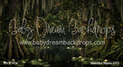Beautiful Bayou (CC)