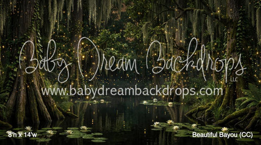 Beautiful Bayou (CC)