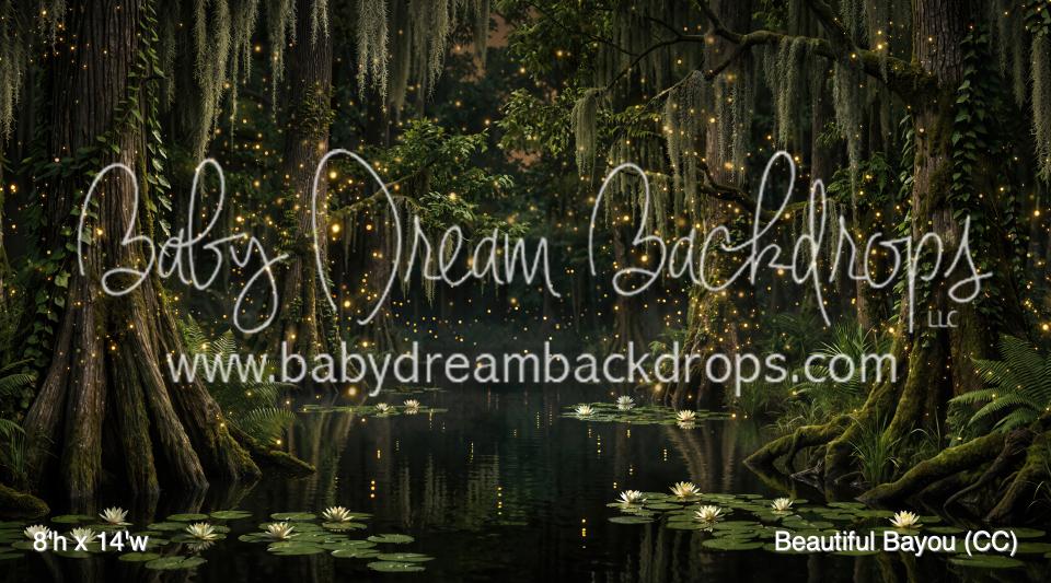 Beautiful Bayou (CC)