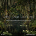 Beautiful Bayou (CC)
