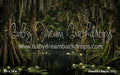 Beautiful Bayou (CC)