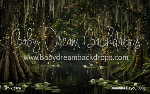 Beautiful Bayou (CC)