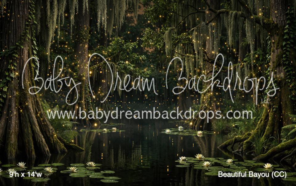 Beautiful Bayou (CC)