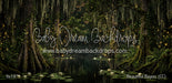 Beautiful Bayou (CC)