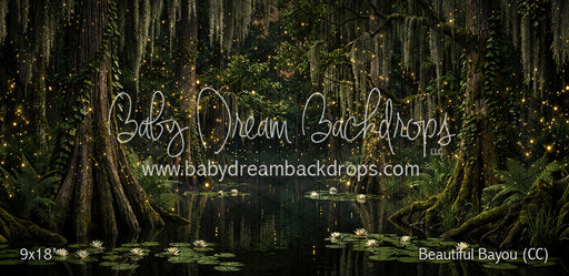 Beautiful Bayou (CC)