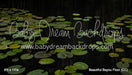 Beautiful Bayou Fabric Floor (CC)