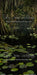 Beautiful Bayou Sweeps (CC)