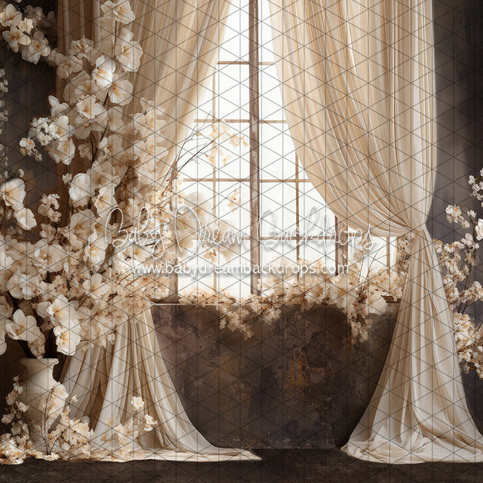 Beauty Rest Window (JA)