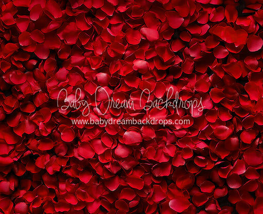 Beauty in Rose Petals (JA)