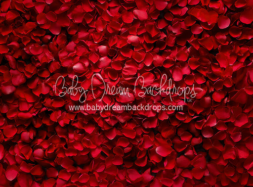 Beauty in Rose Petals (JA)