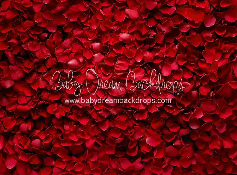 Beauty in Rose Petals (JA)