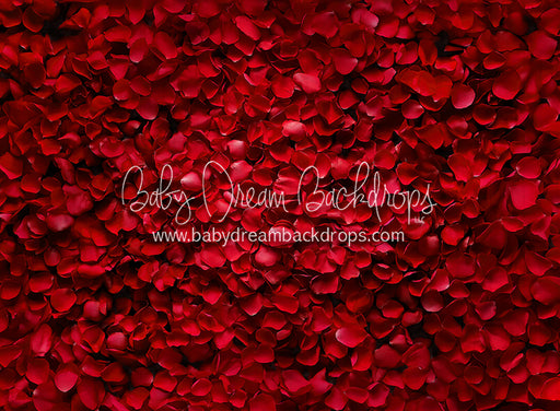 Beauty in Rose Petals (JA)