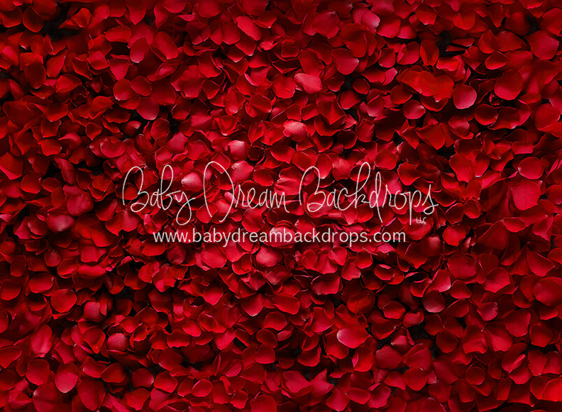 Beauty in Rose Petals (JA)