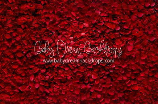 Beauty in Rose Petals (JA)