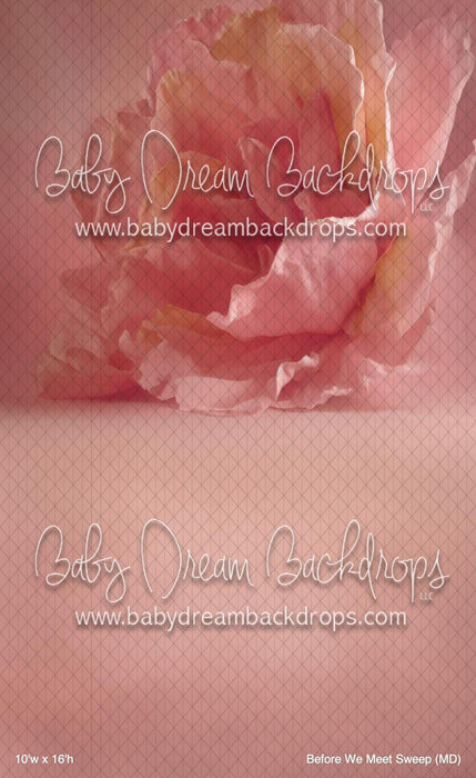 Before We Meet Sweep (MD)