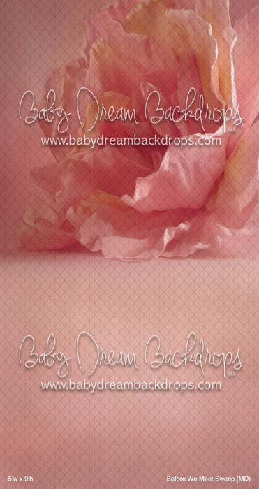 Before We Meet Sweep (MD)