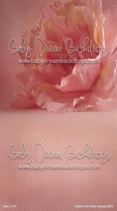 Before We Meet Sweep (MD)