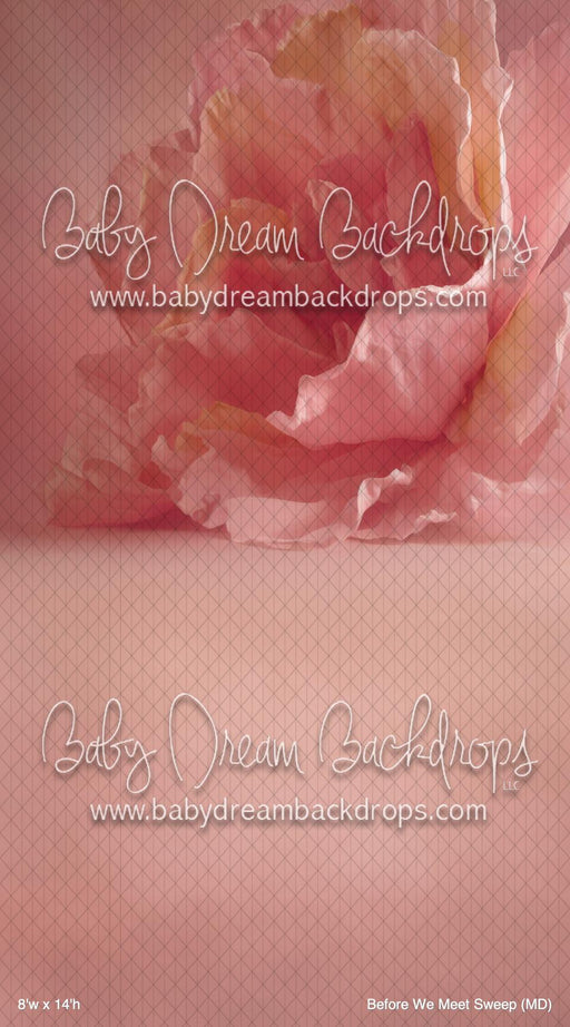 Before We Meet Sweep (MD)