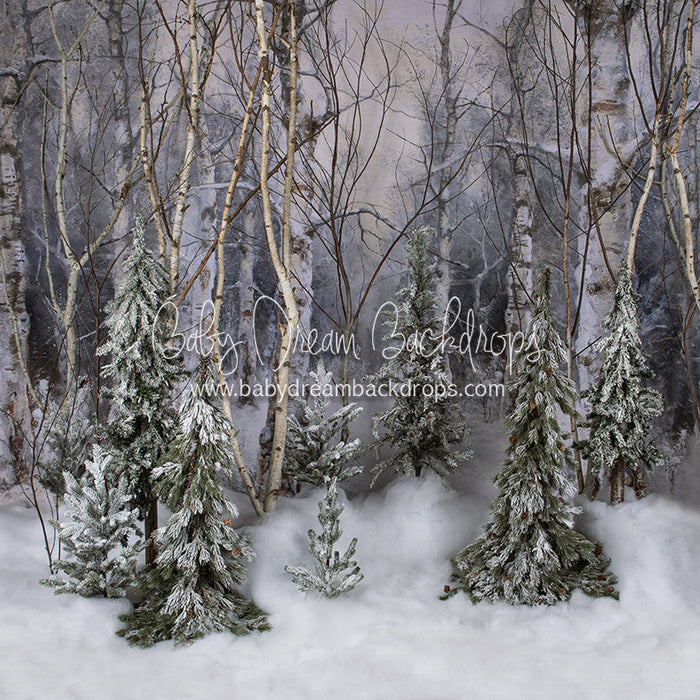 Believe In Birch Forest Pines