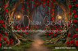 Belle of the Forest (CC)