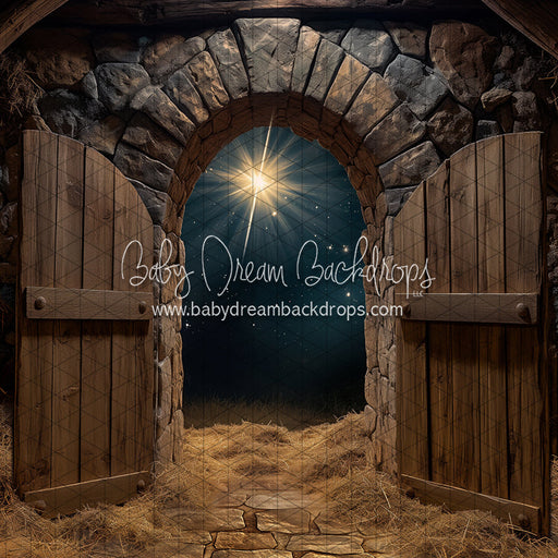 Bethlehem Stable (JA)