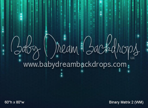 Binary Matrix 2 (WM)