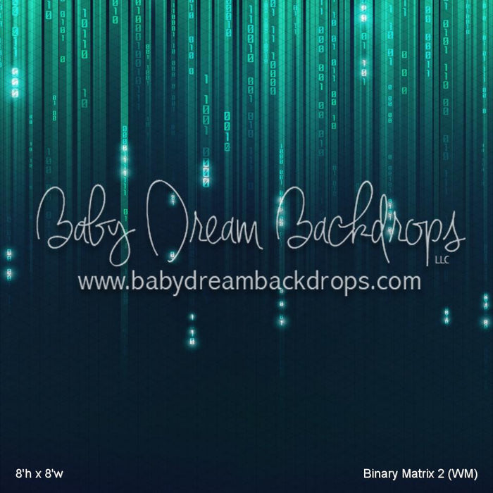 Binary Matrix 2 (WM)