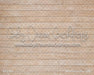 Birch Planks Floor (WM)