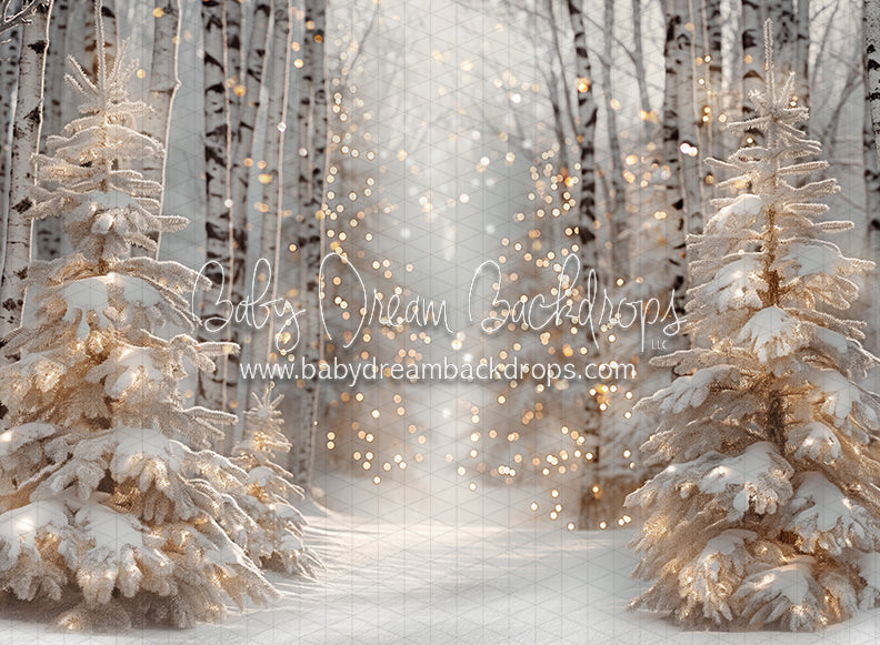 Birch and Bokeh (CC)