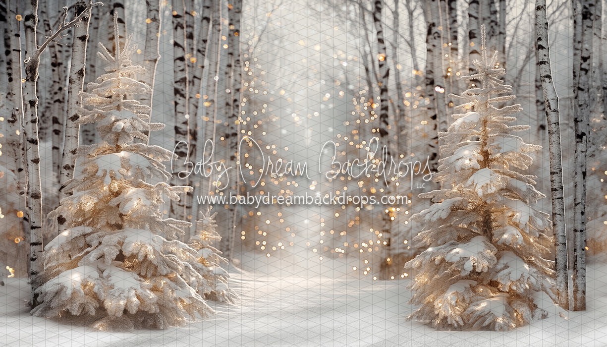 Birch and Bokeh (CC)