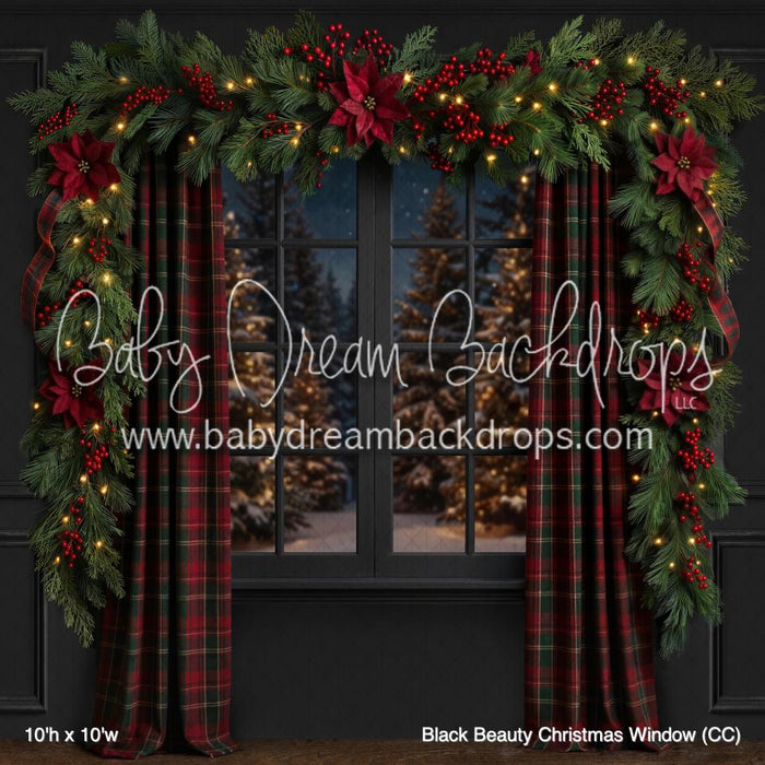 Black Beauty Christmas Window (CC)
