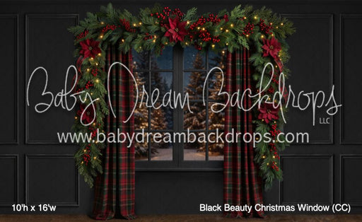 Black Beauty Christmas Window (CC)