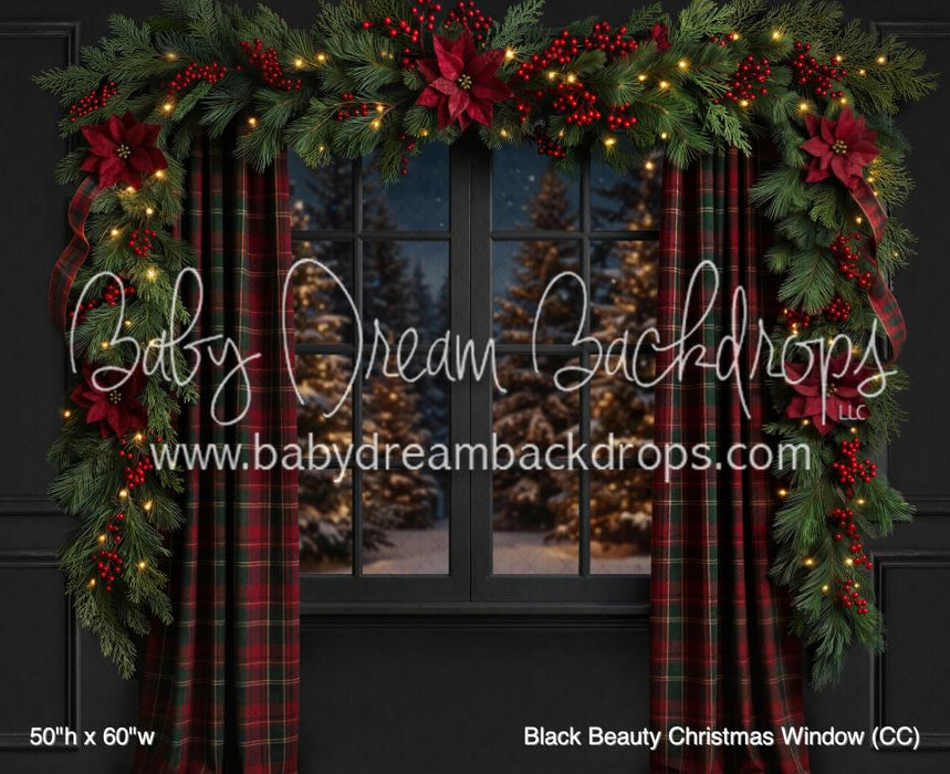 Black Beauty Christmas Window (CC)