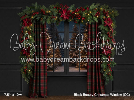 Black Beauty Christmas Window (CC)