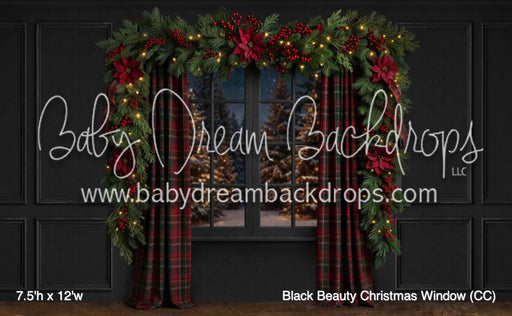 Black Beauty Christmas Window (CC)