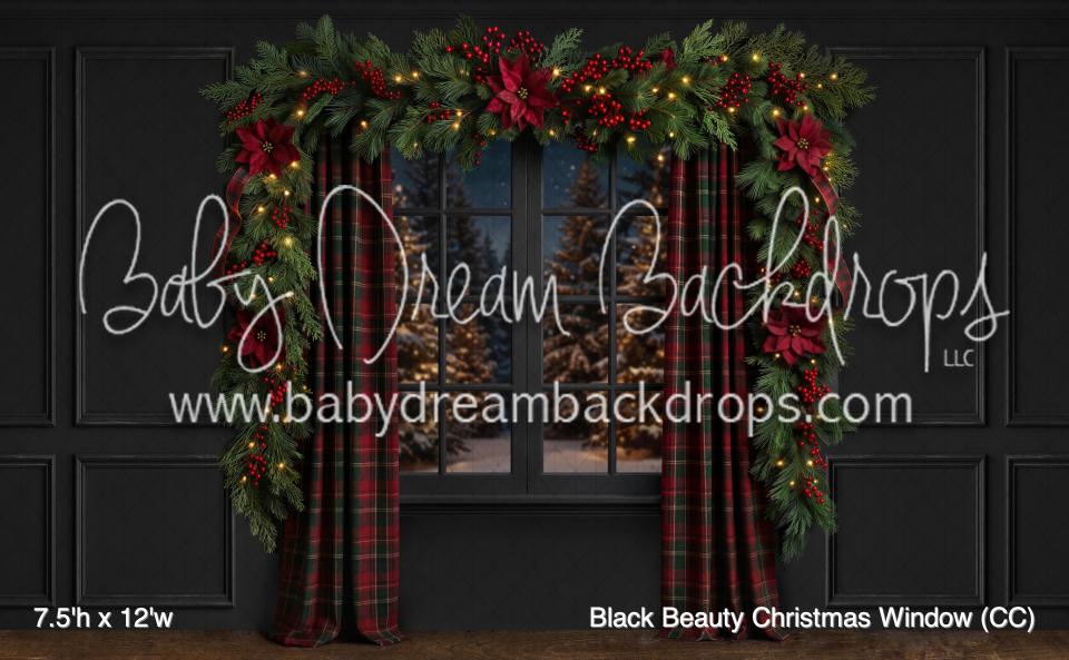 Black Beauty Christmas Window (CC)