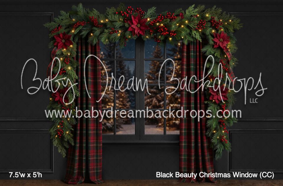 Black Beauty Christmas Window (CC)