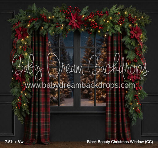 Black Beauty Christmas Window (CC)