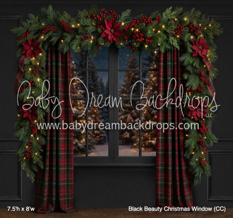Black Beauty Christmas Window (CC)