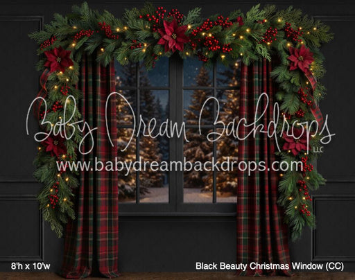 Black Beauty Christmas Window (CC)